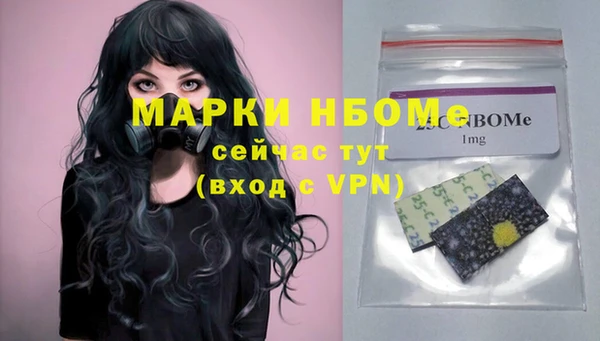 дживик Кулебаки