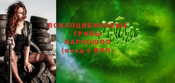 дживик Кулебаки