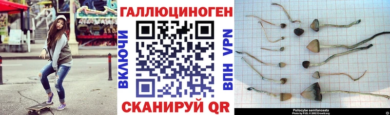 Галлюциногенные грибы мицелий  цена   Жердевка 