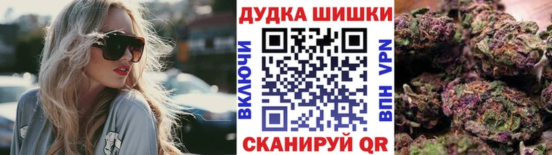 дарнет шоп  shop наркотические препараты  Бошки марихуана AK-47  Жердевка 
