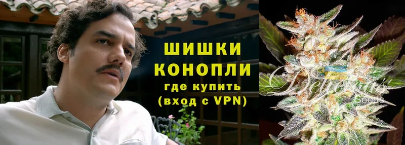 МАРИХУАНА THC 21%  MEGA ССЫЛКА  Жердевка  купить наркотик 